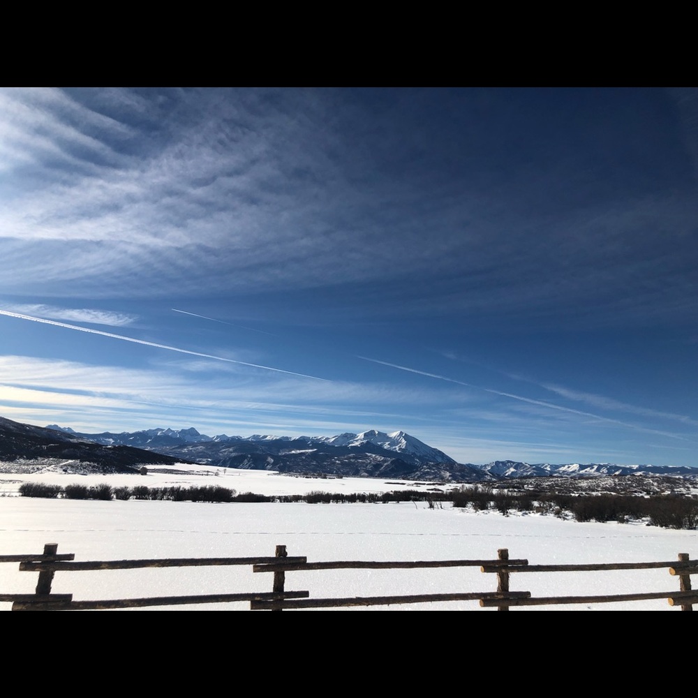 Meet your Posher, Rochelle - Picture 10 of 16